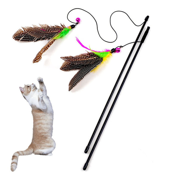 Cat Fish Toy