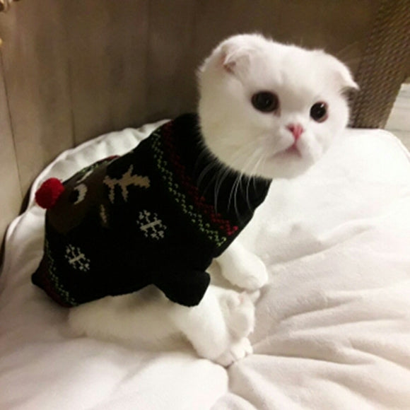 Cat Sweater,Warm,Clothing
