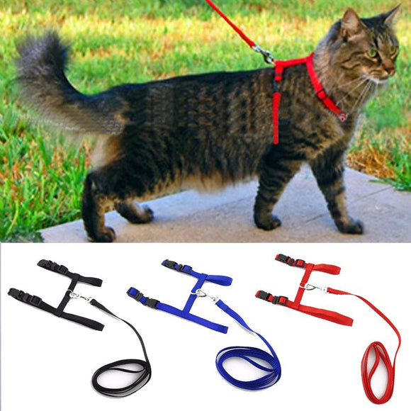 Cat Harness & Leash (Adjustable)