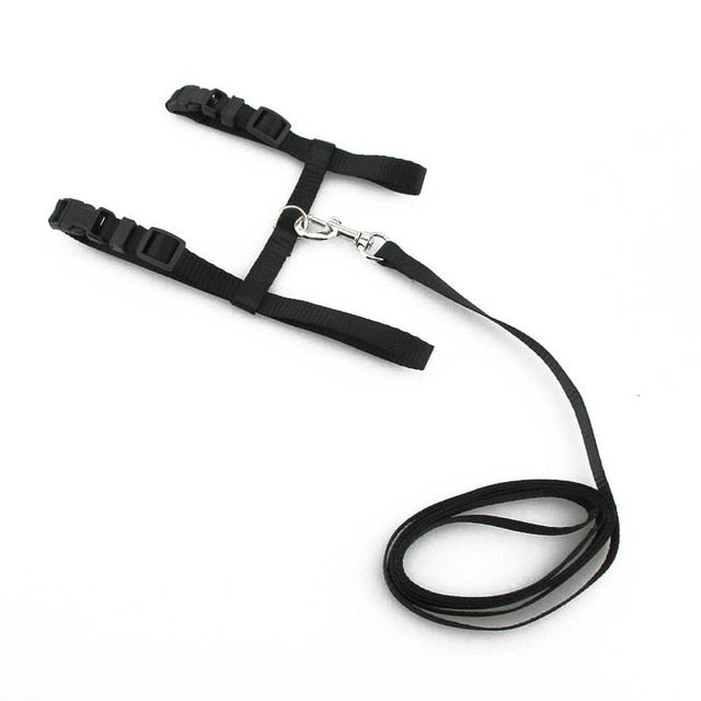 Cat Harness & Leash (Adjustable)
