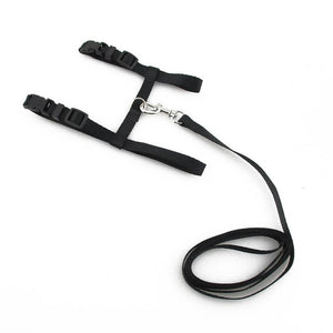 Cat Harness & Leash (Adjustable)