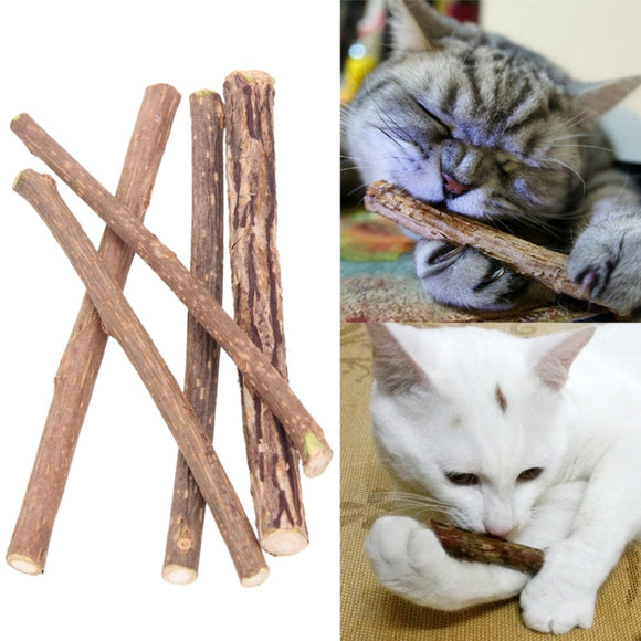 5/10/15/20pcs - Natural Catnip (toy)