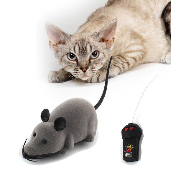 Funny Remote Control Mouse