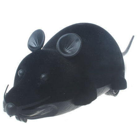 Funny Remote Control Mouse