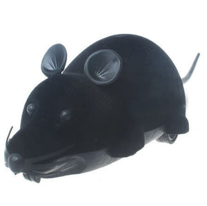 Funny Remote Control Mouse