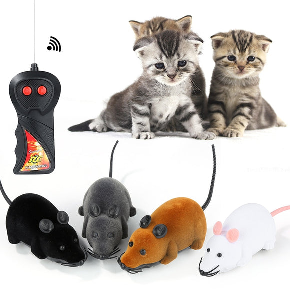 Remote Control mouse for cats (FUN!!)