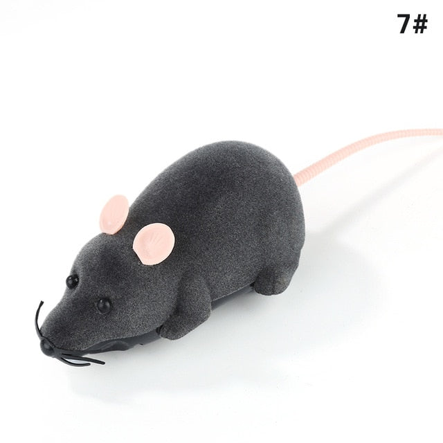 Remote Control mouse for cats (FUN!!)