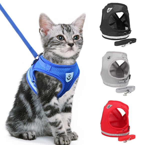 Adjustable Harness