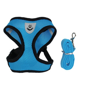 Adjustable Harness