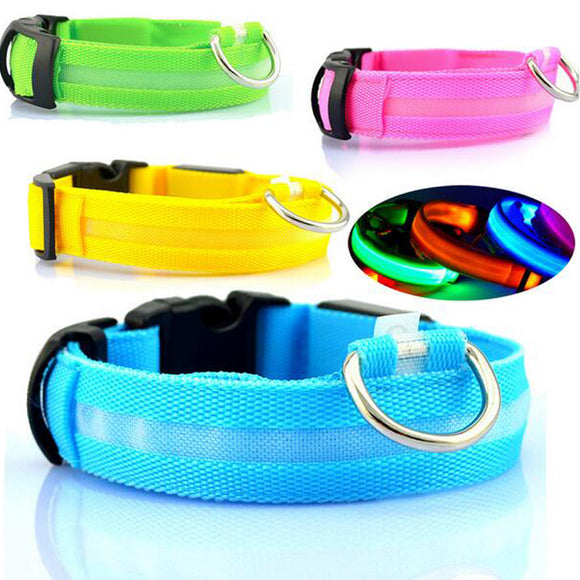 LED Collar for cat - Anti-Lost